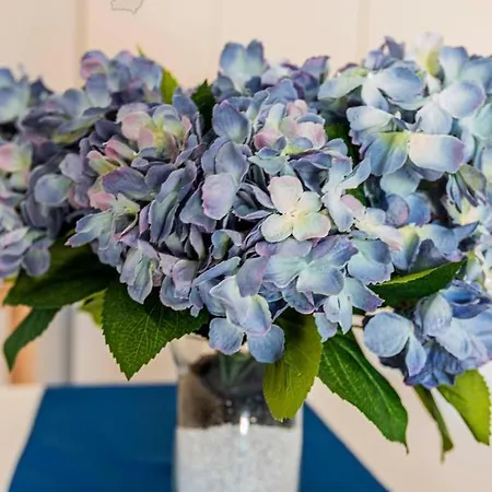 El Tucan Daire Tías